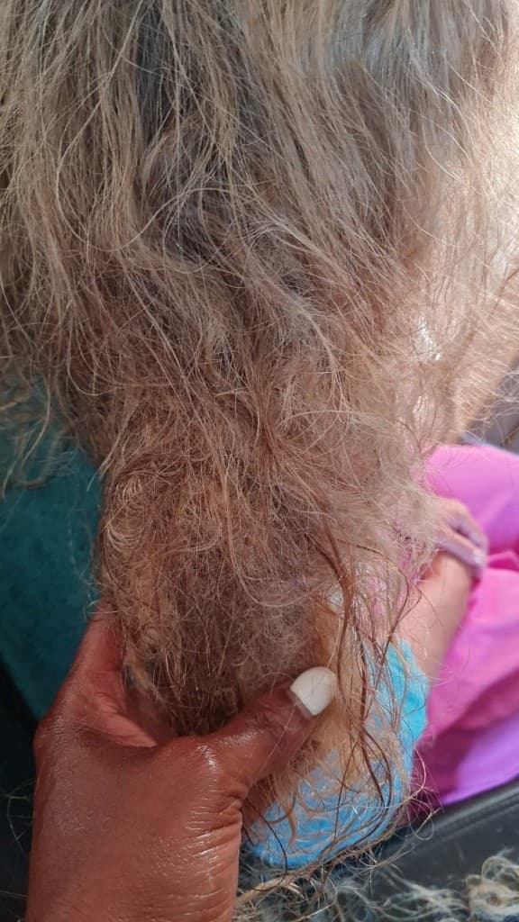 Loose hair — treatment prep
