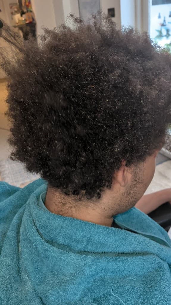 Natural hair before loc service