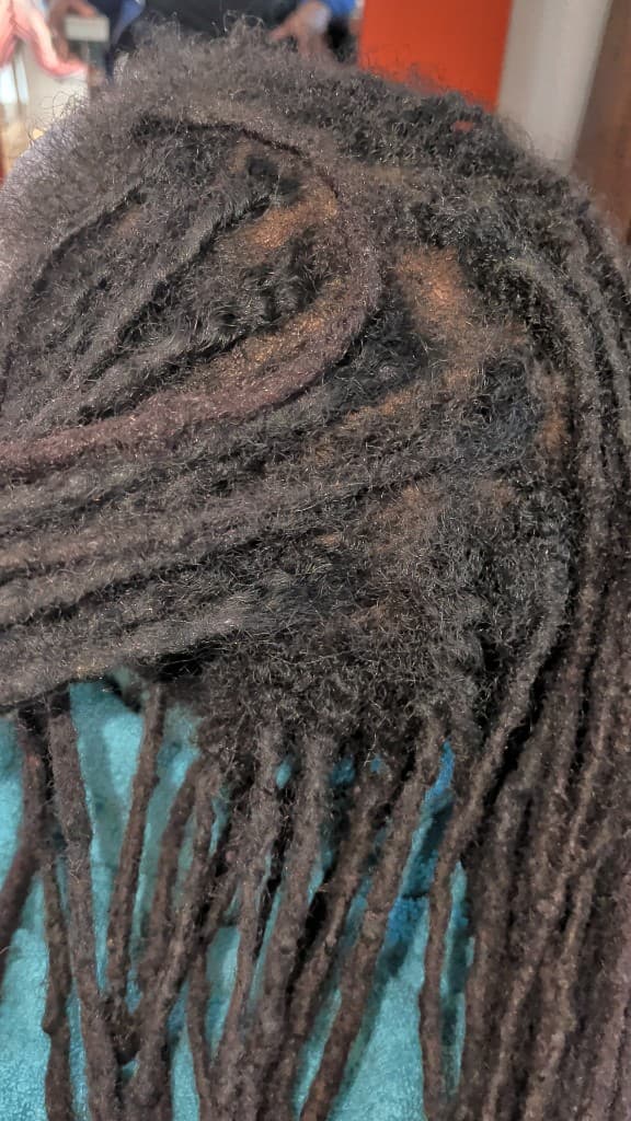 Locs — fuzzy new growth overhead