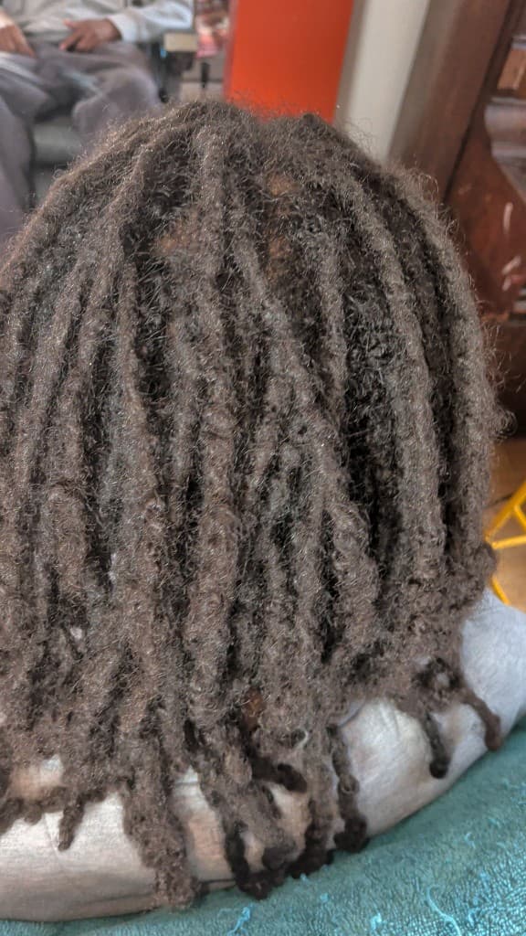 Semi-freeform locs with soft new growth