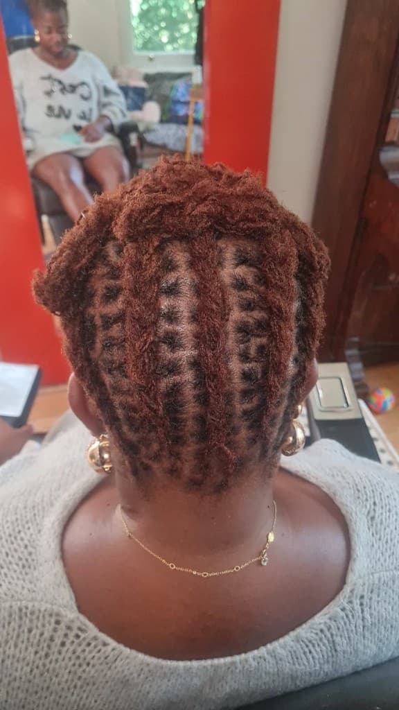 Sisterlocks — copper with new growth