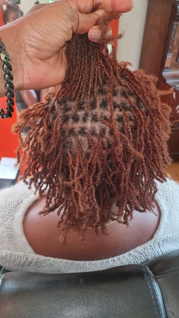 Sisterlocks / microlocs — crown flat twists