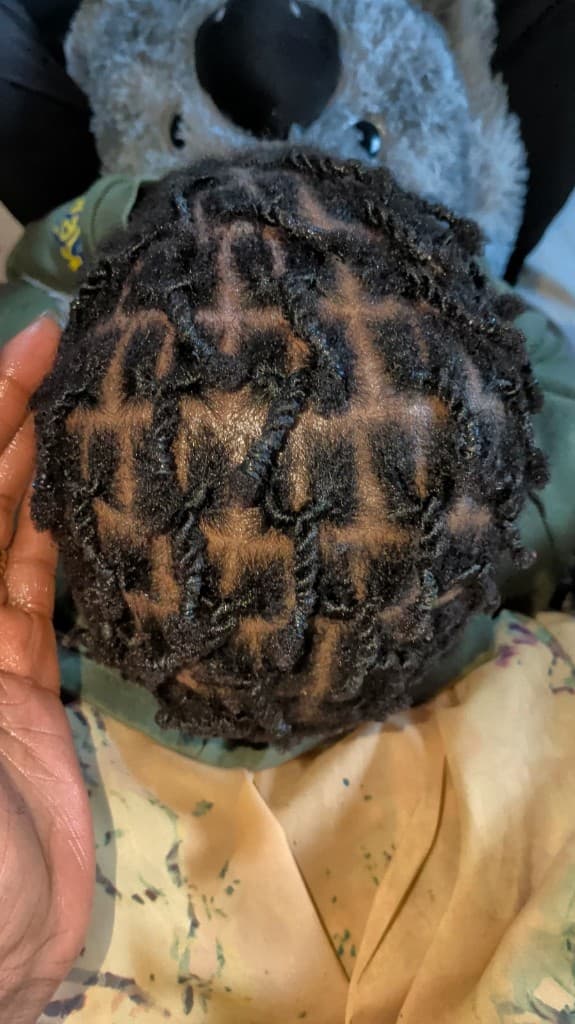 Starter locs — neat grid from above