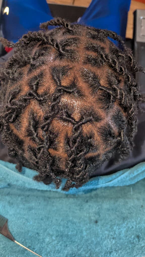 Starter twists — crown detail
