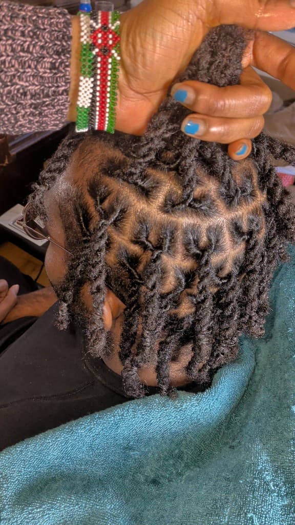 Two-strand starter locs lifted to show neat grid partings — salon