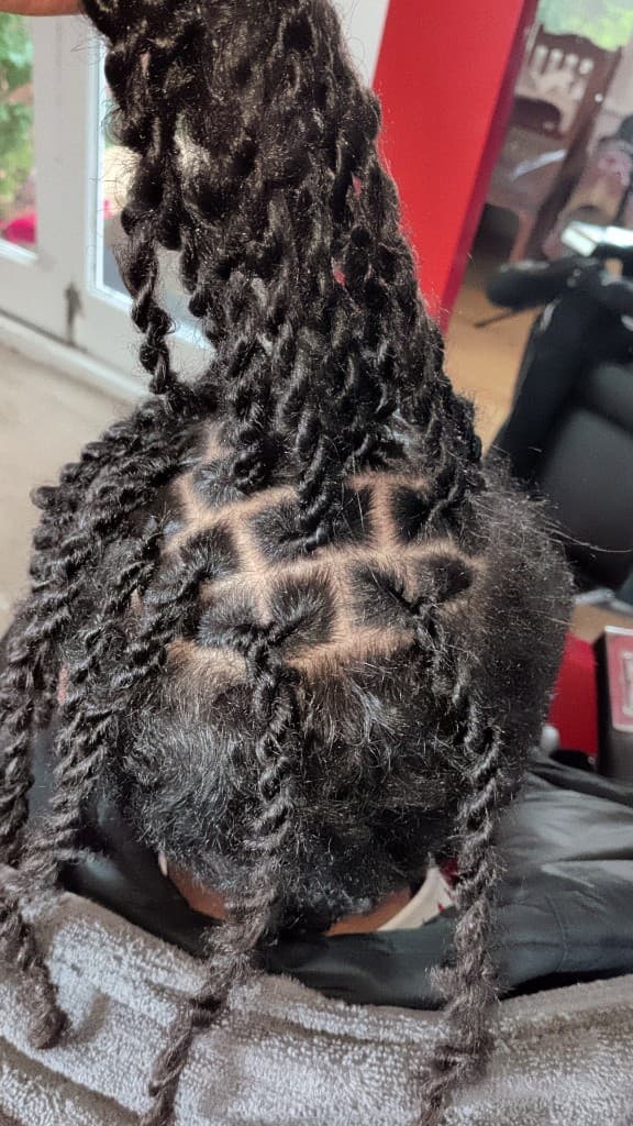 Two-strand twist starter locs