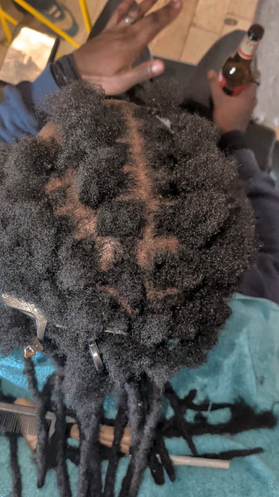 Traditional locs — new growth before retwist