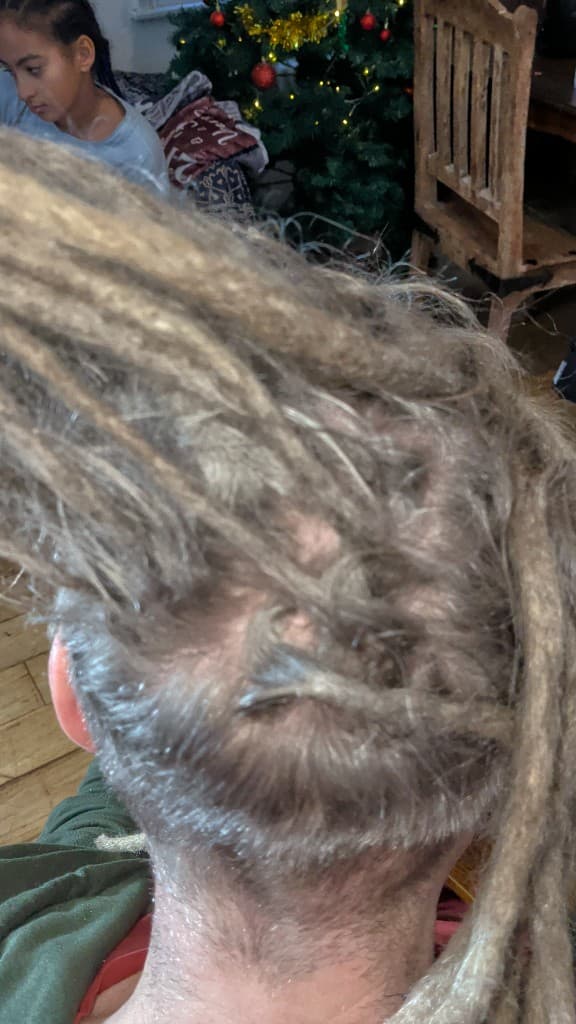 Traditional locs — light mature locs from behind