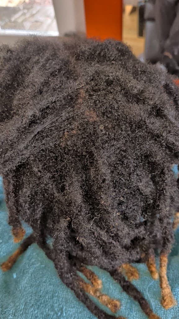 Traditional locs — lightened tips