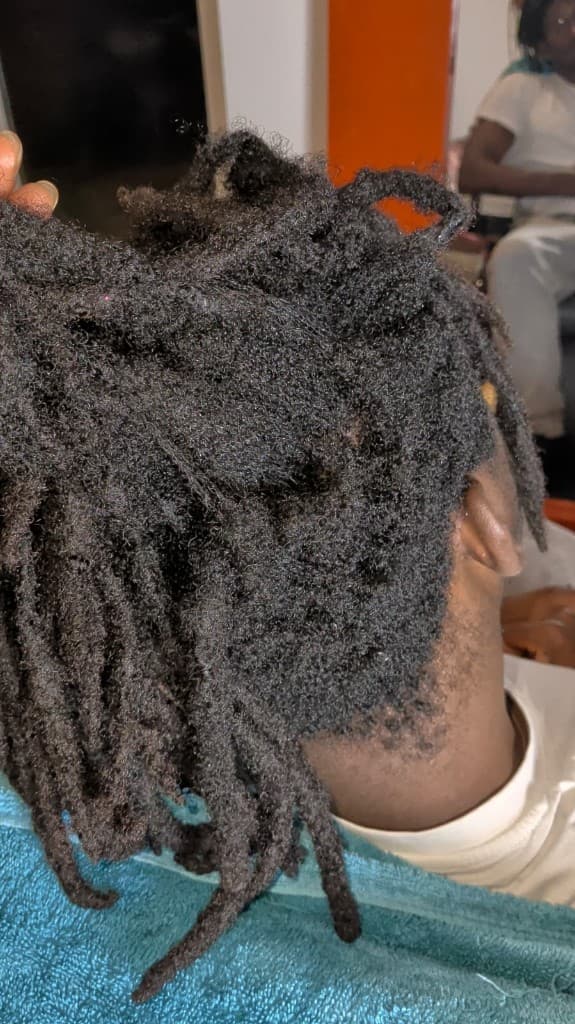 Traditional locs — maturing texture from behind