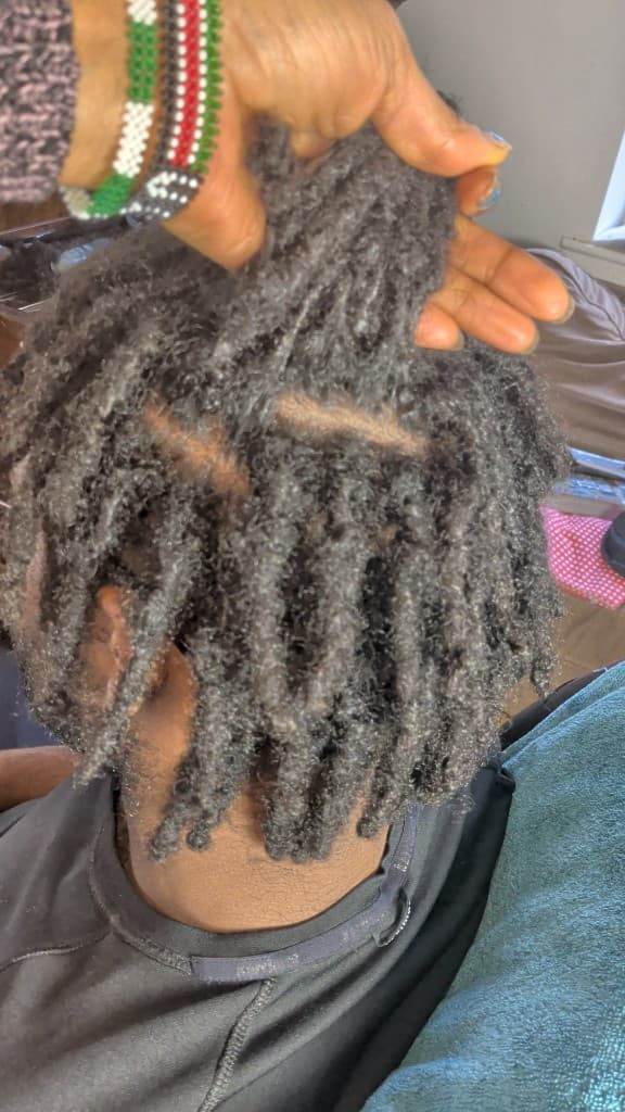 Traditional locs — maturing phase