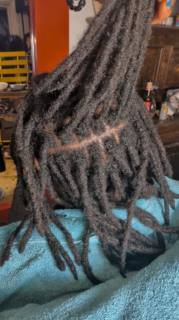 Traditional locs — neat grid