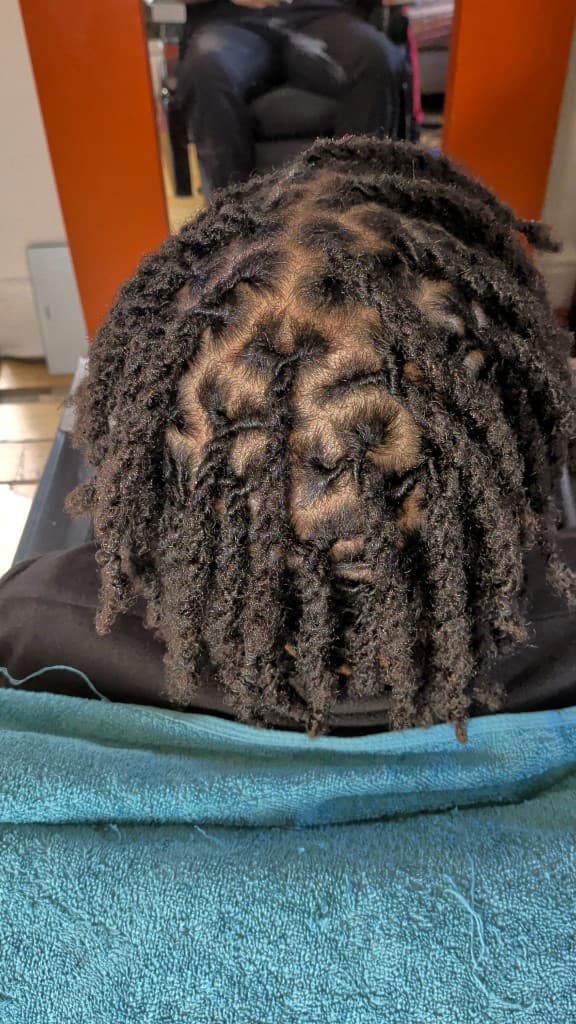 Traditional locs — short neat grid from above
