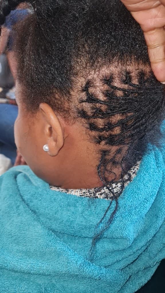 Traditional locs — two-strand twist sections